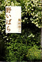 野いばら 梶村啓二著 第3回日経小説大賞受賞(日本経済新聞出版社)
