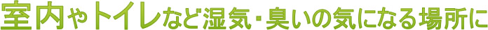 gCȂǎCEL̋CɂȂꏊ
