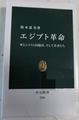エジプト革命 -軍とムスリム同胞団、そして若者たち 鈴木恵美著 著